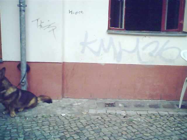 B_prlic70335